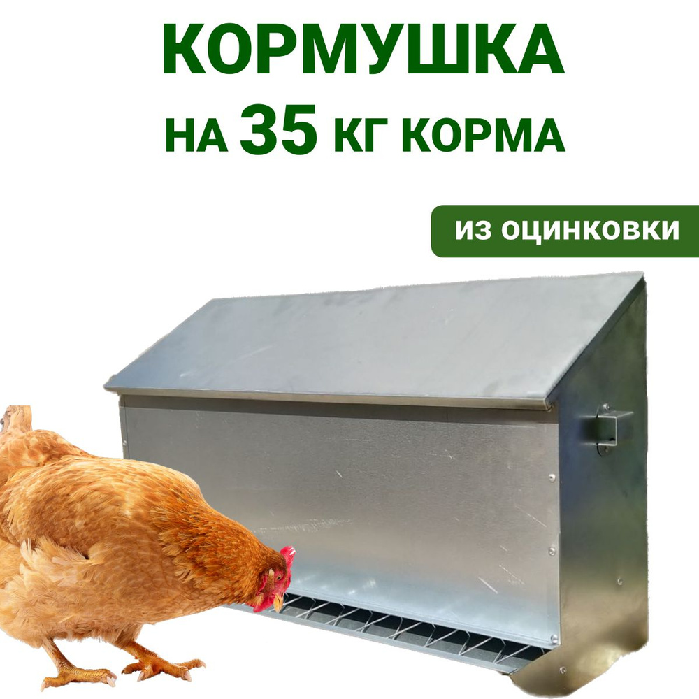 Бункерная кормушка для кур на 35 кг корма Подворье Непросыпайка, для бройлеров, уток, гусей, индюков #1