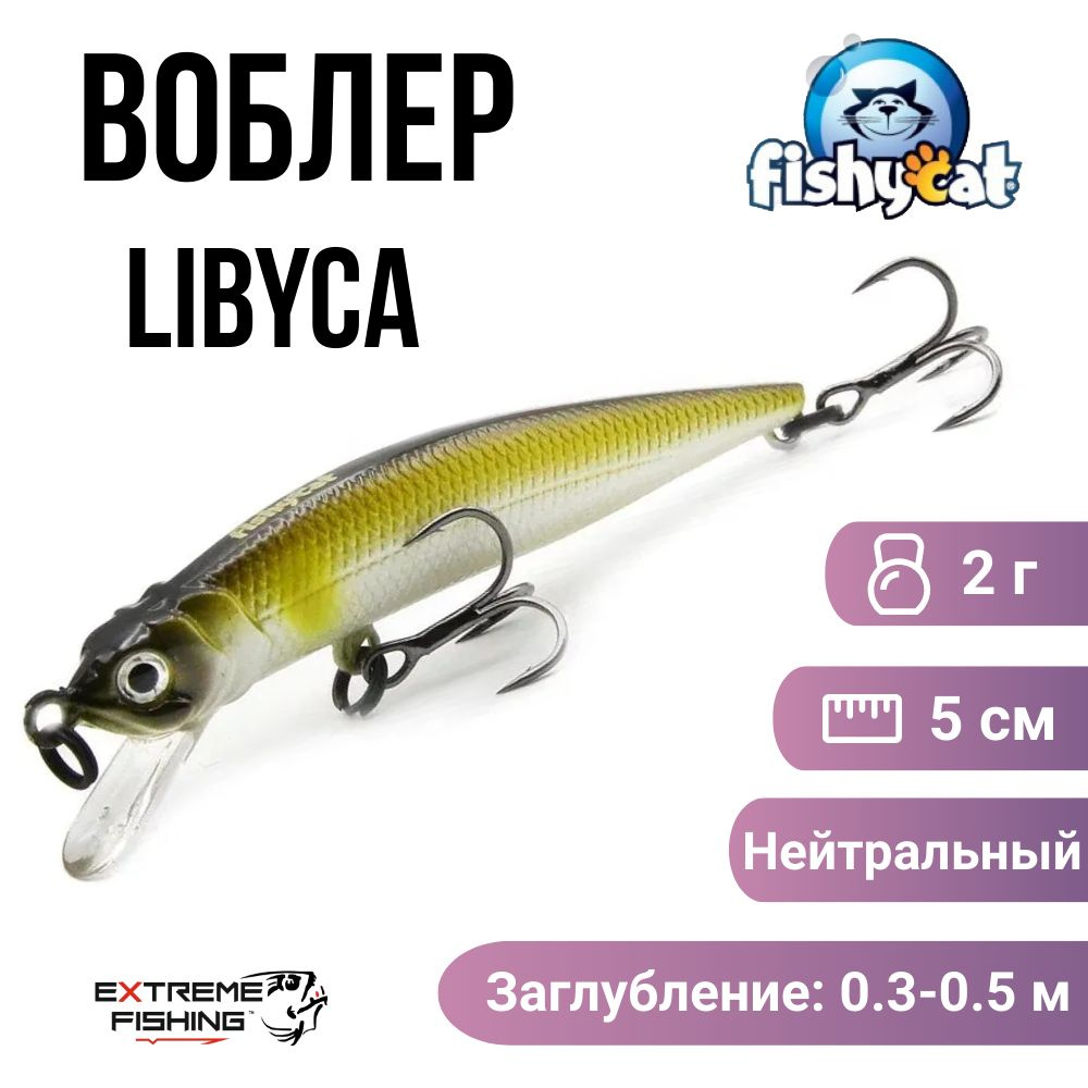 Воблер Fishycat Libyca 50SP, R03 #1