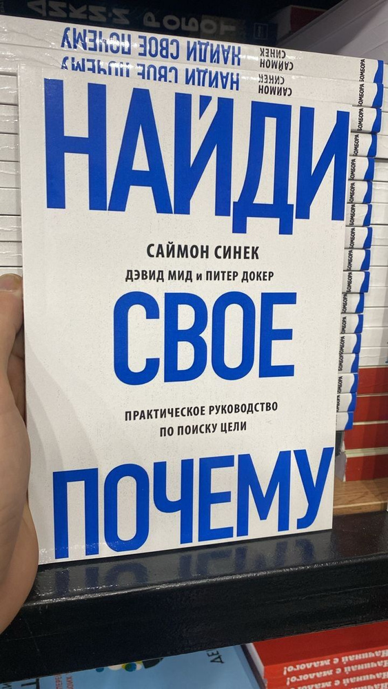 Найди свое "Почему?". Практическое руководство по поиску цели | Скотт Дэвид Мирман  #1