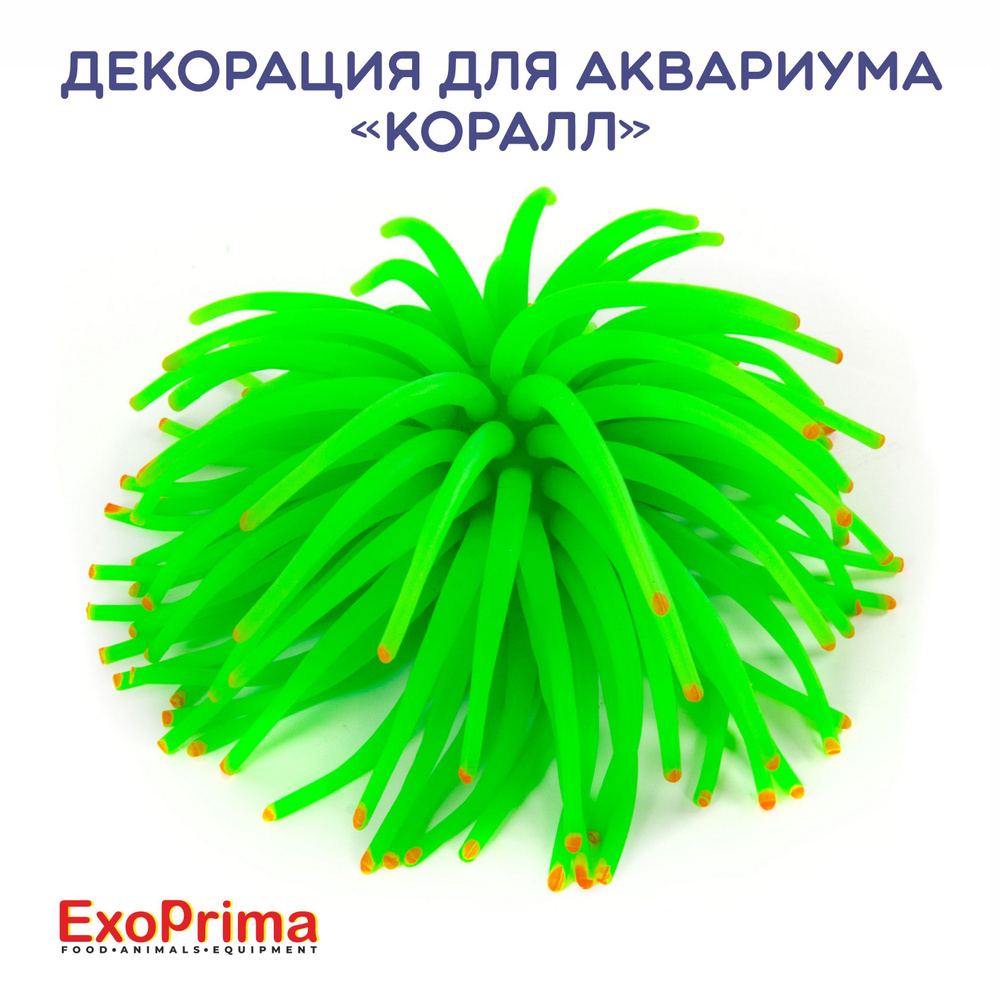 Декорация для аквариума EXOPRIMA "Коралл" силикон, салатовая, 10х10х6см  #1