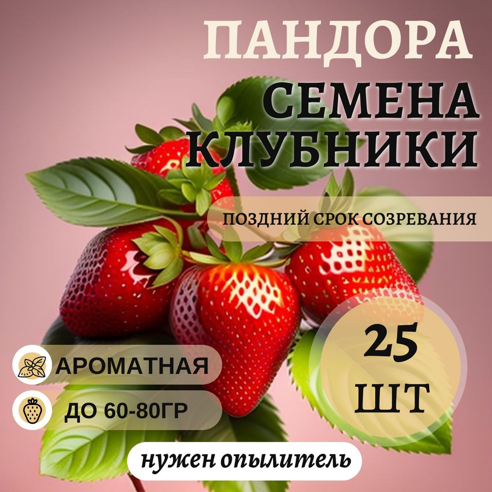 Семена клубники Пандора, 25шт #1