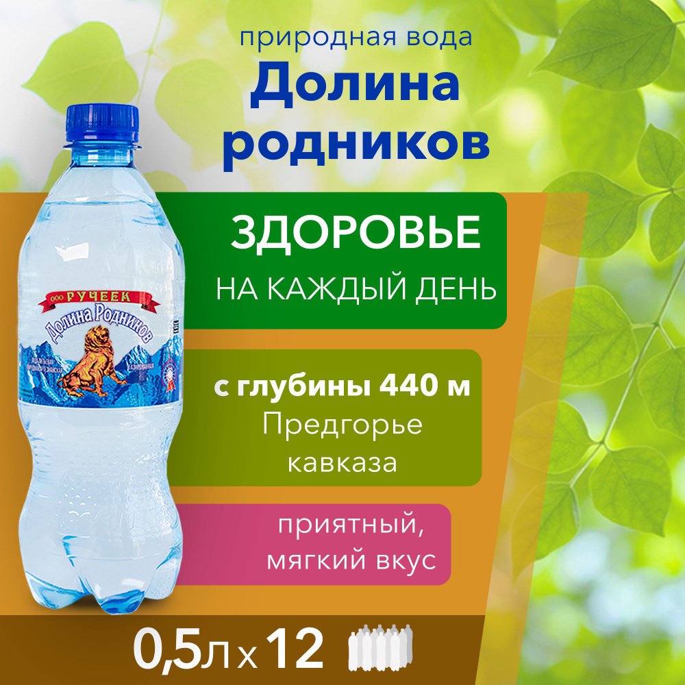 Вода Долина Родников. Объем 0.5л*12. Ручеек, Газированная, Вода минеральная питьевая газированная природная #1