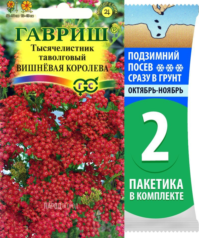 Семена Тысячелистник Вишневая Королева, 2 пакетика по 0,05г/200шт  #1