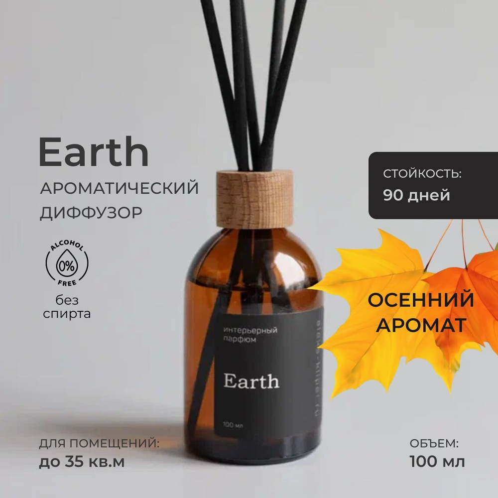 Осенний аромадиффузор Earth Земля / ароматизатор для дома с палочками 100 млJ  #1