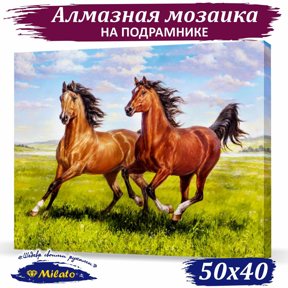 Алмазная мозаика квадратные стразы на подрамнике (Тандем) 50x40см, 34 цвета  #1