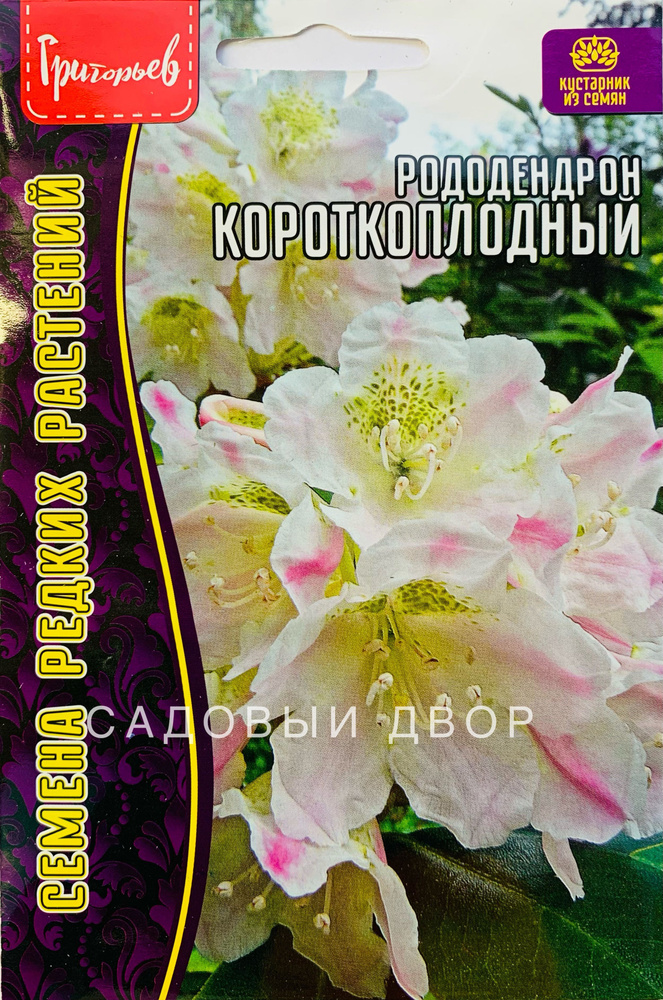 Рододендрон Короткоплодный, 1 пакет, семена 20 шт, вечнозеленый декоративный кустарник, ЧК  #1