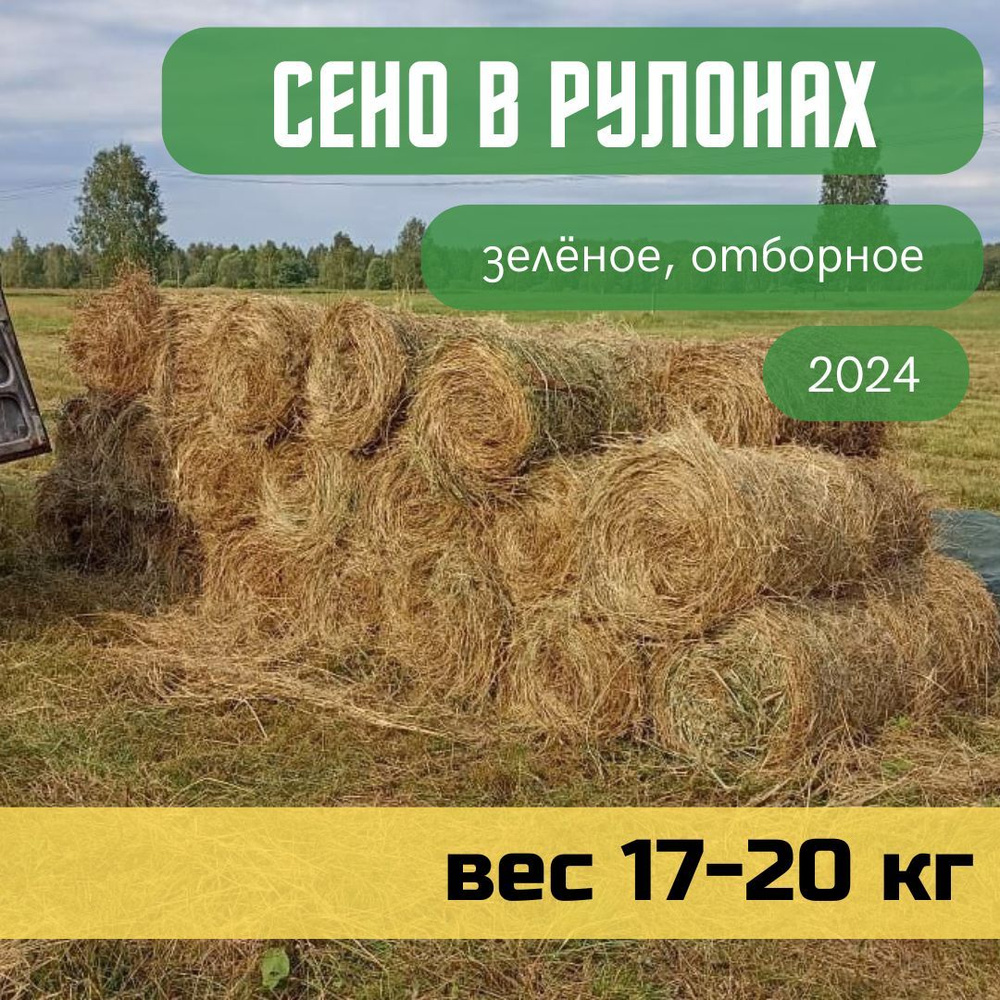 Сено луговое, рулон 17-20 кг, отборное, зеленое для грызунов и других домашних животных  #1