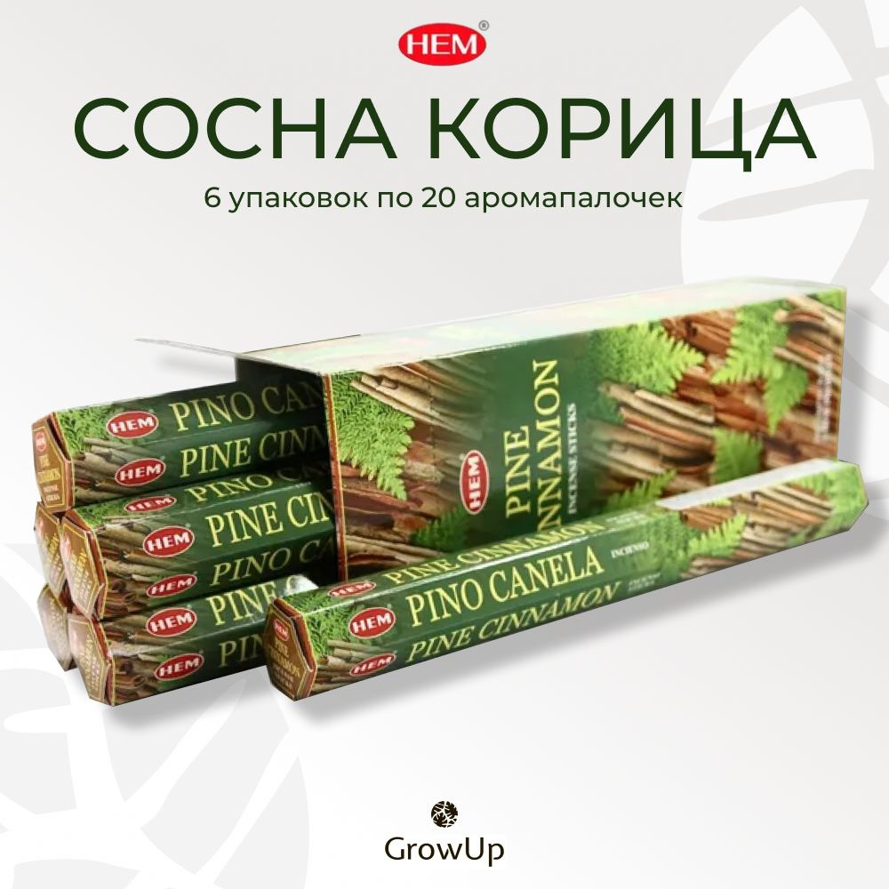 HEM Сосна Корица - 6 упаковок по 20 шт - ароматические благовония, палочки, Pine Cinnamon - Hexa ХЕМ #1