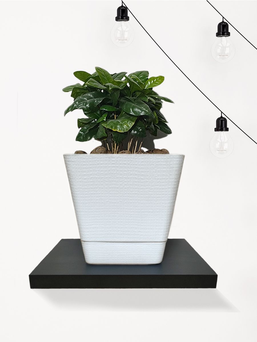 Полканастеннаянавеснаяпарящаяподтелевизордляхранения