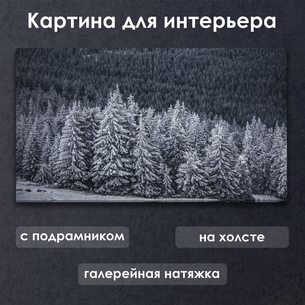 Картина для интерьера с подрамником на холсте на стену Снежный лес  #1