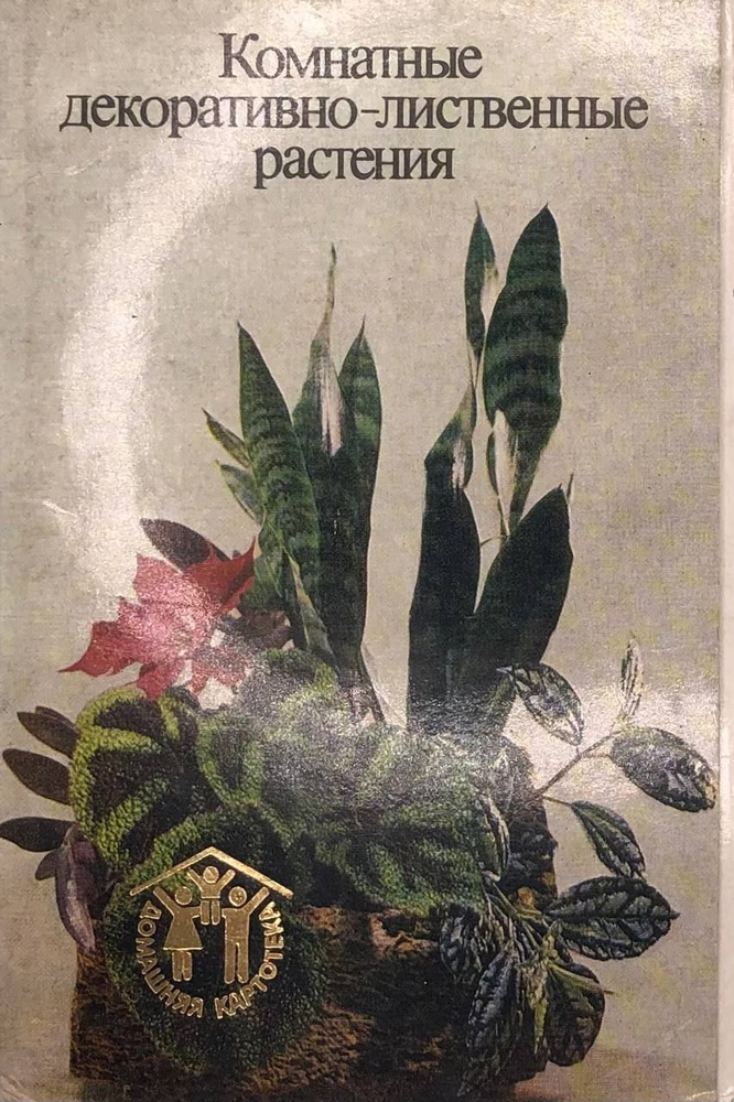 Комнатные декоративно-лиственные растения (набор из 12 открыток)  #1