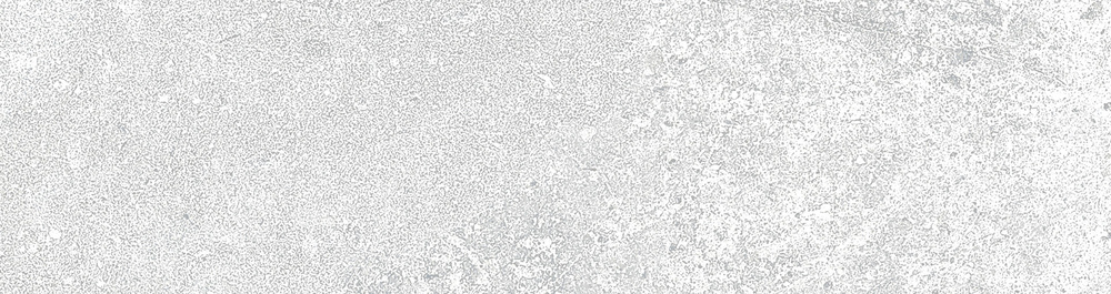 Декоративная плитка Керамин Юта 1 6.5x24.5 цвет серый светлый  #1