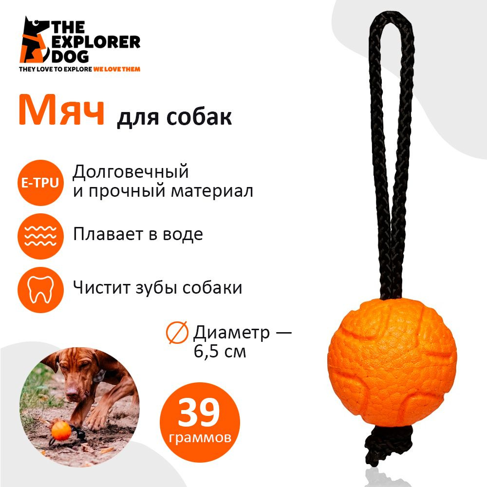 EXPLORER DOG Мяч для собак на веревке, 6.5 см #1