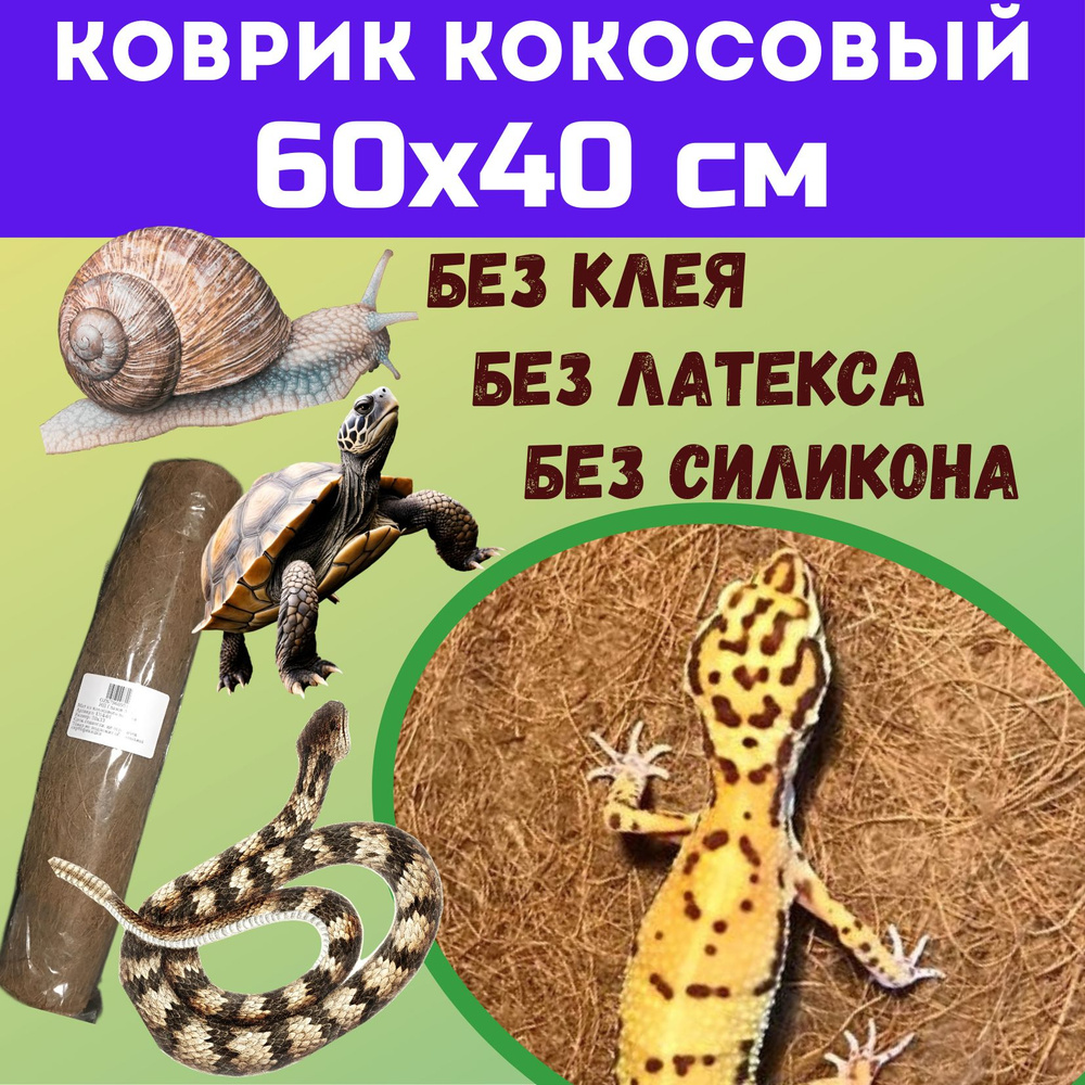 Коврик кокосовый 60х40 см для террариума #1