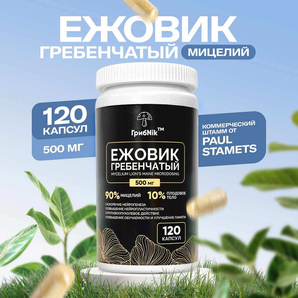 Ежовик гребенчатый в капсулах , мицелий(Lions Mane) Микродозинг ...