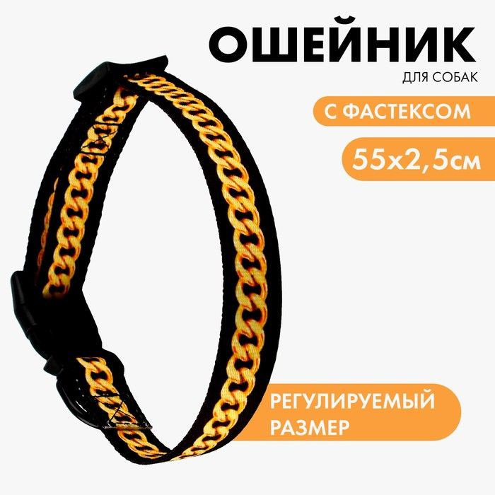 Ошейник BOSS, застёжка - фастекс, 2.5 см, 40-55 см #1