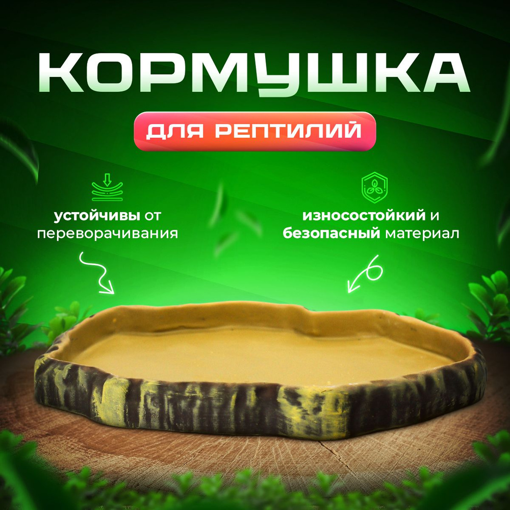 Кормушка для террариума и рептилий Simple Zoo, 245х200х27 мм #1