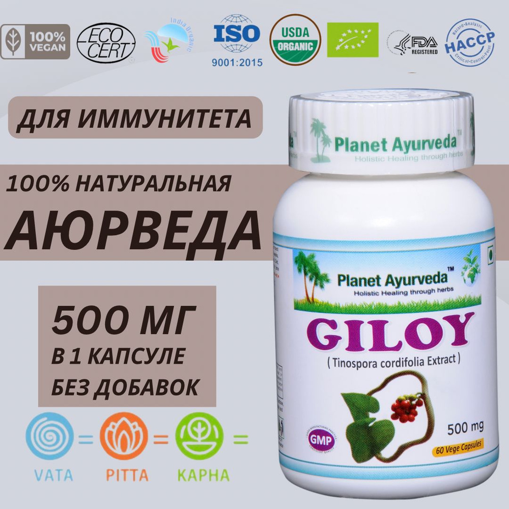 Гудучи Giloy в капсулах 500 мг, экстракт, витамины для иммунитета, восстановления, антиоксидант, иммуномодулятор, #1