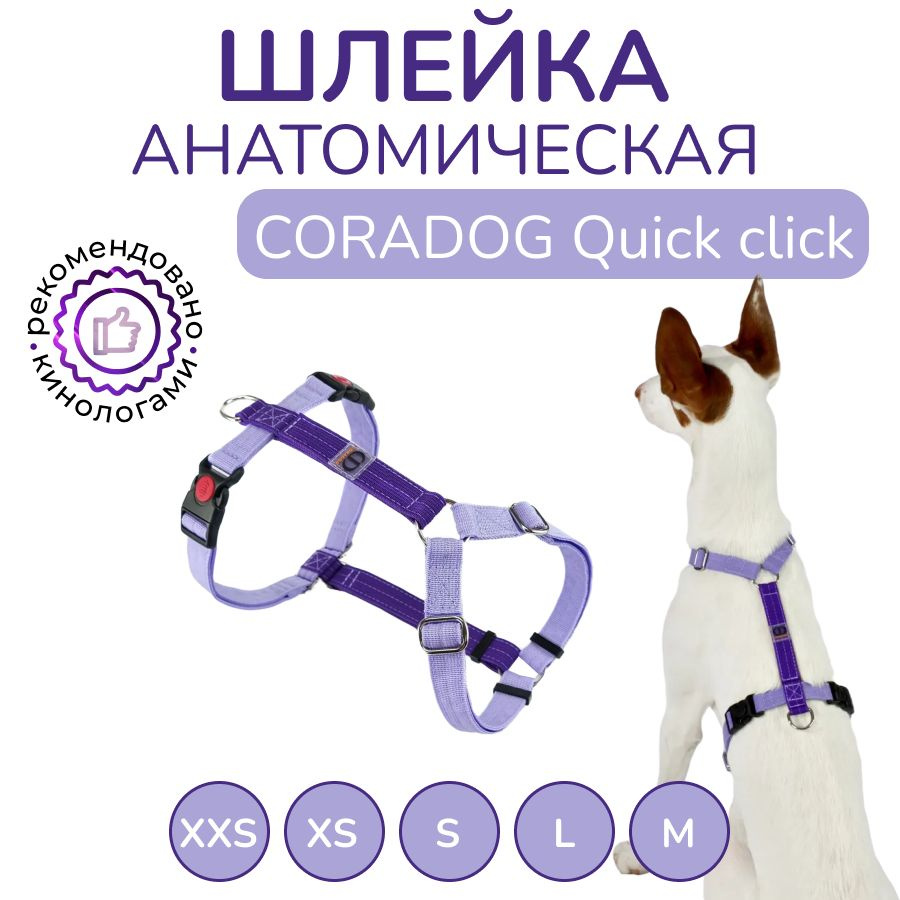 Шлейка для собак прогулочная анатомическая, CORADOG Quick click, размер L, цвет сиреневый, фиолетовый #1