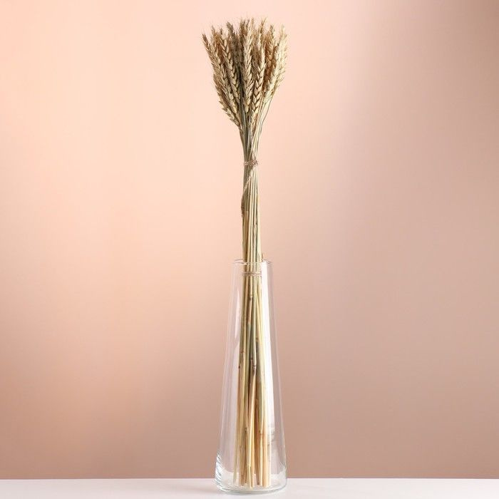 Сухоцветы для декора "Пшеница" банч 35-40 шт, длина 60 (+/- 6 см) натуральный  #1