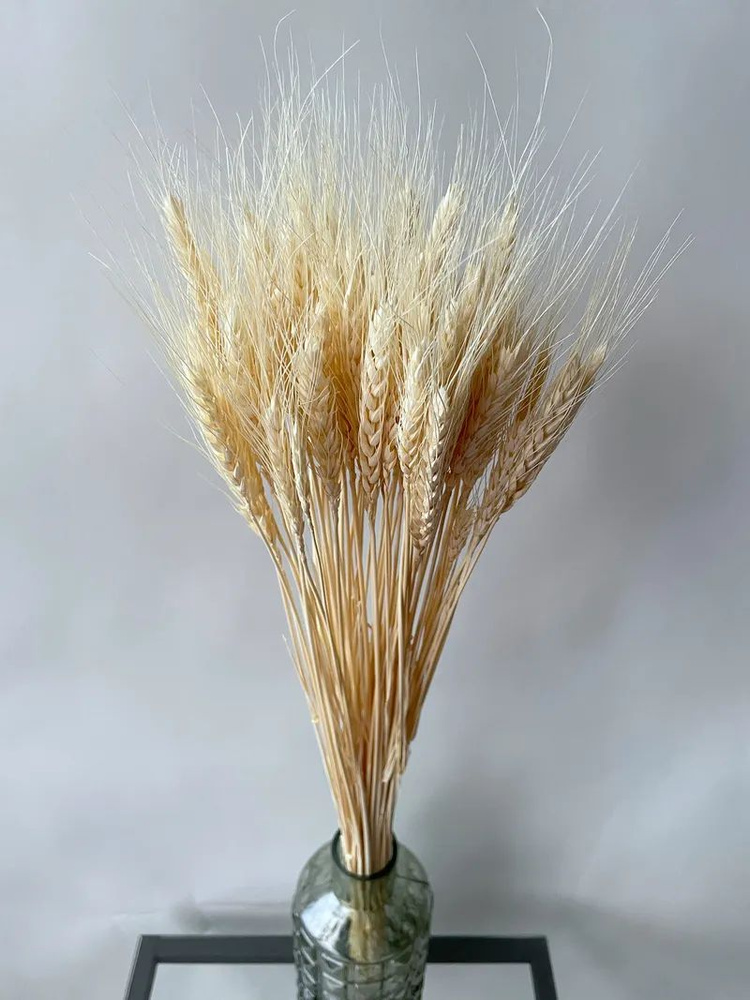 Пшеница белая #1