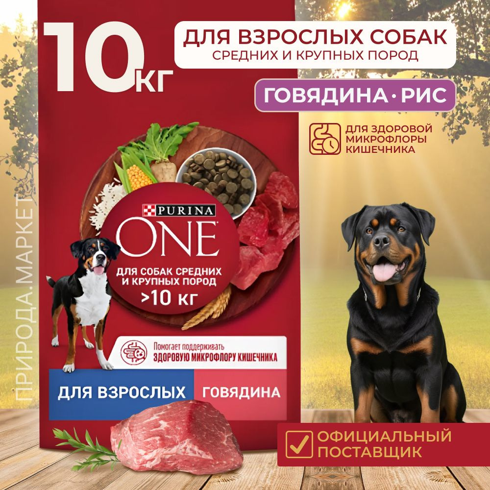 Сухой корм Purina ONE для взрослых собак средних и крупных пород, с высоким содержанием говядины и рисом, #1