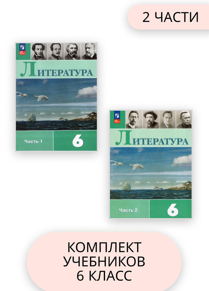 Комплект Литература 6 класс Учебник 1 и 2 часть #1