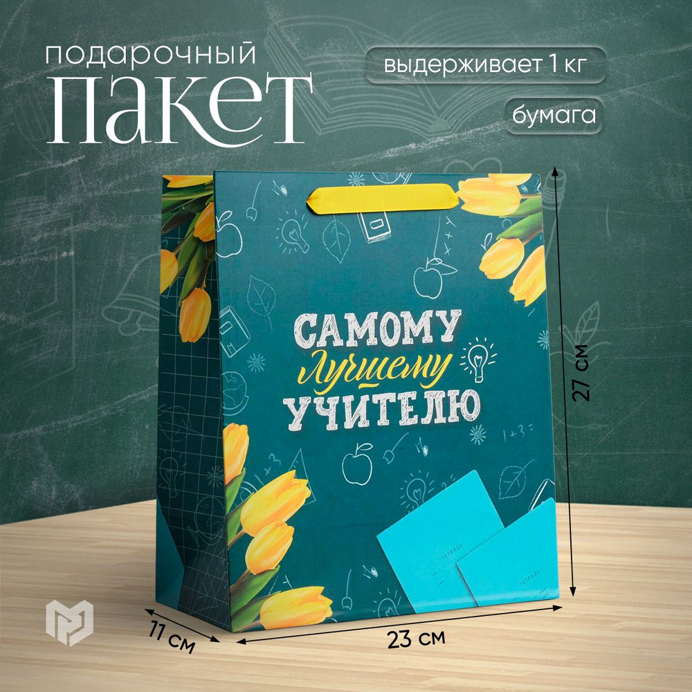 Пакет подарочный "Самому Лучшему Учителю" 27 х 23 х 11,5 см #1