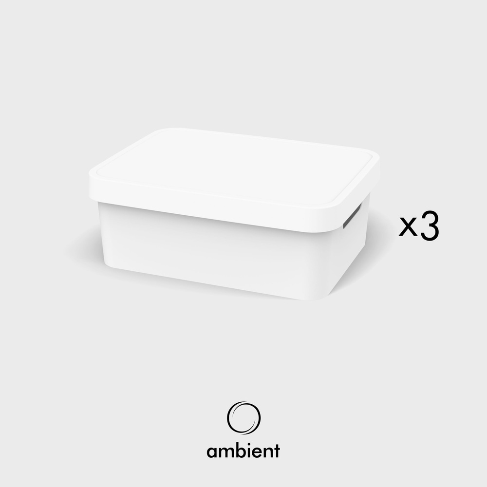 Набор ящиков для хранения ambient Folk 11л белый, 3 шт. #1