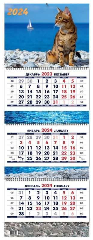 Календарь квартальный ND Play "Кот и море. Маркет" на 2024 год  #1