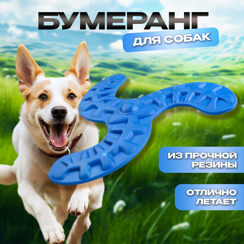 Игрушка - бумеранг для собак "Любимый БРО" , цвет синий, d-20см/100гр  #1