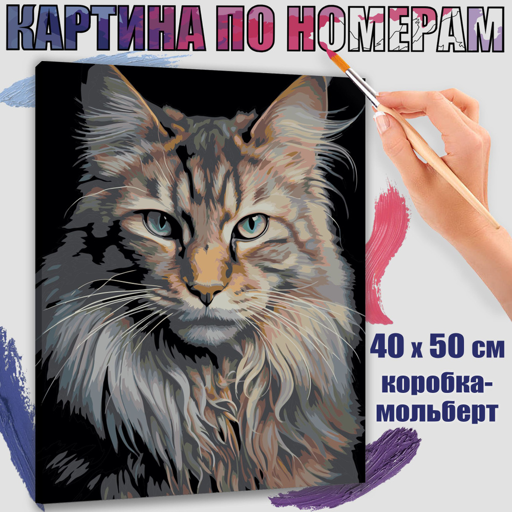 Картина по номерам 40x50 см. Мейн-кун: чудо в шерсти" #1