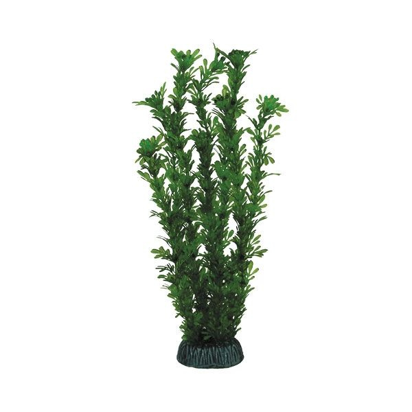 Растение "Лигодиум" зеленый, 300мм #1