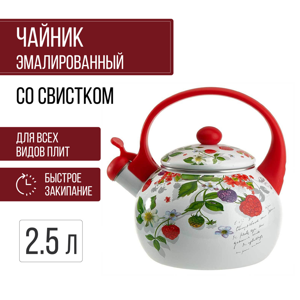 Чайник эмалированный для всех видов плит со свистком 2.5 л Ягоды  #1