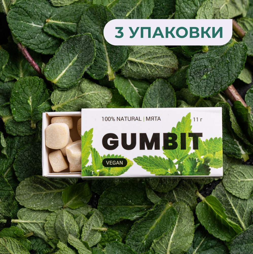 Натуральная жевательная резинка GUMBIT со вкусом Мята, 3 упаковки  #1