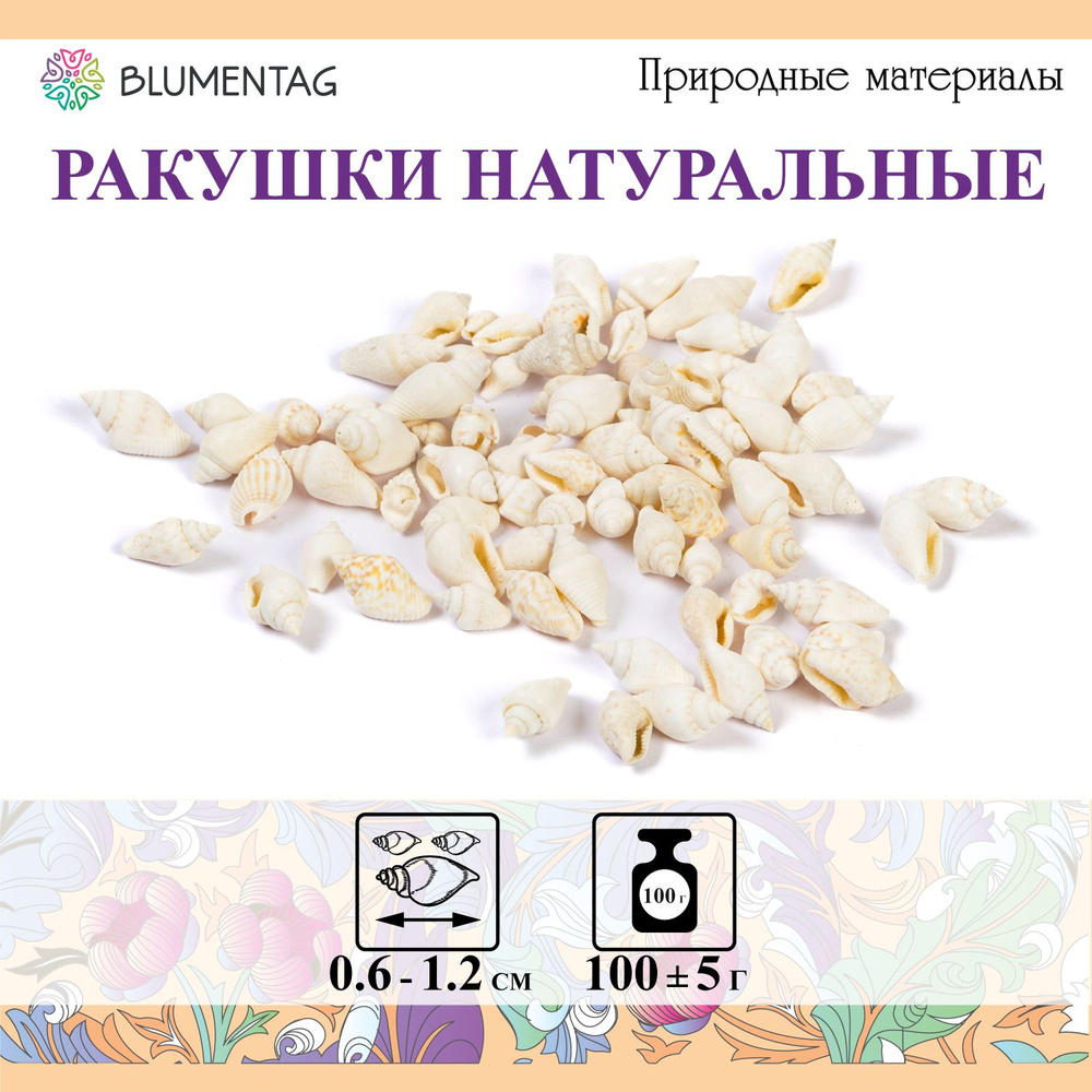 Ракушки морские натуральные для декора "Blumentag" DRF-008, 100г, 1.2см Nassa Cooked (White)  #1