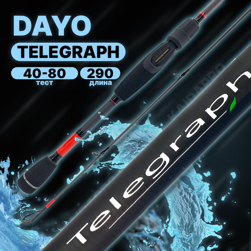 Спиннинг DAYO TELEGRAPH штекерный C.W. 40-80 гр ExtraFast #1