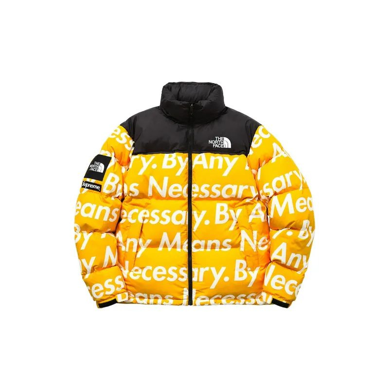 Пуховик The North Face M 1996 Retro Nuptse Jacket #1