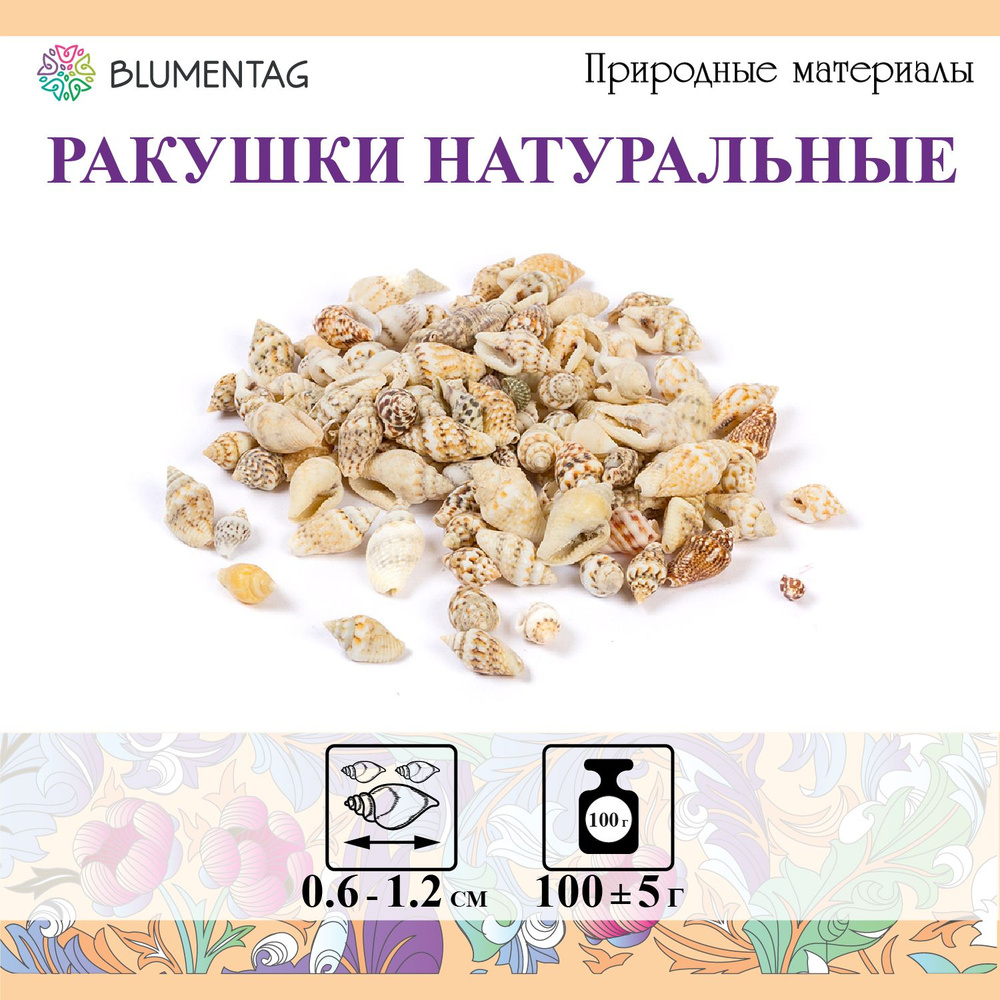 Ракушки морские натуральные для декора "Blumentag" DRF-005, 100г, 1.2см Nassa  #1