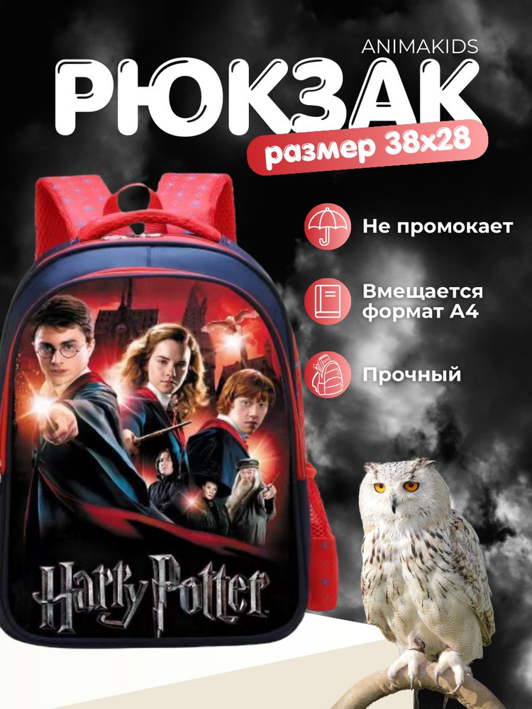 Рюкзак AnimaKids Harry Potter, Гарри Поттер #1