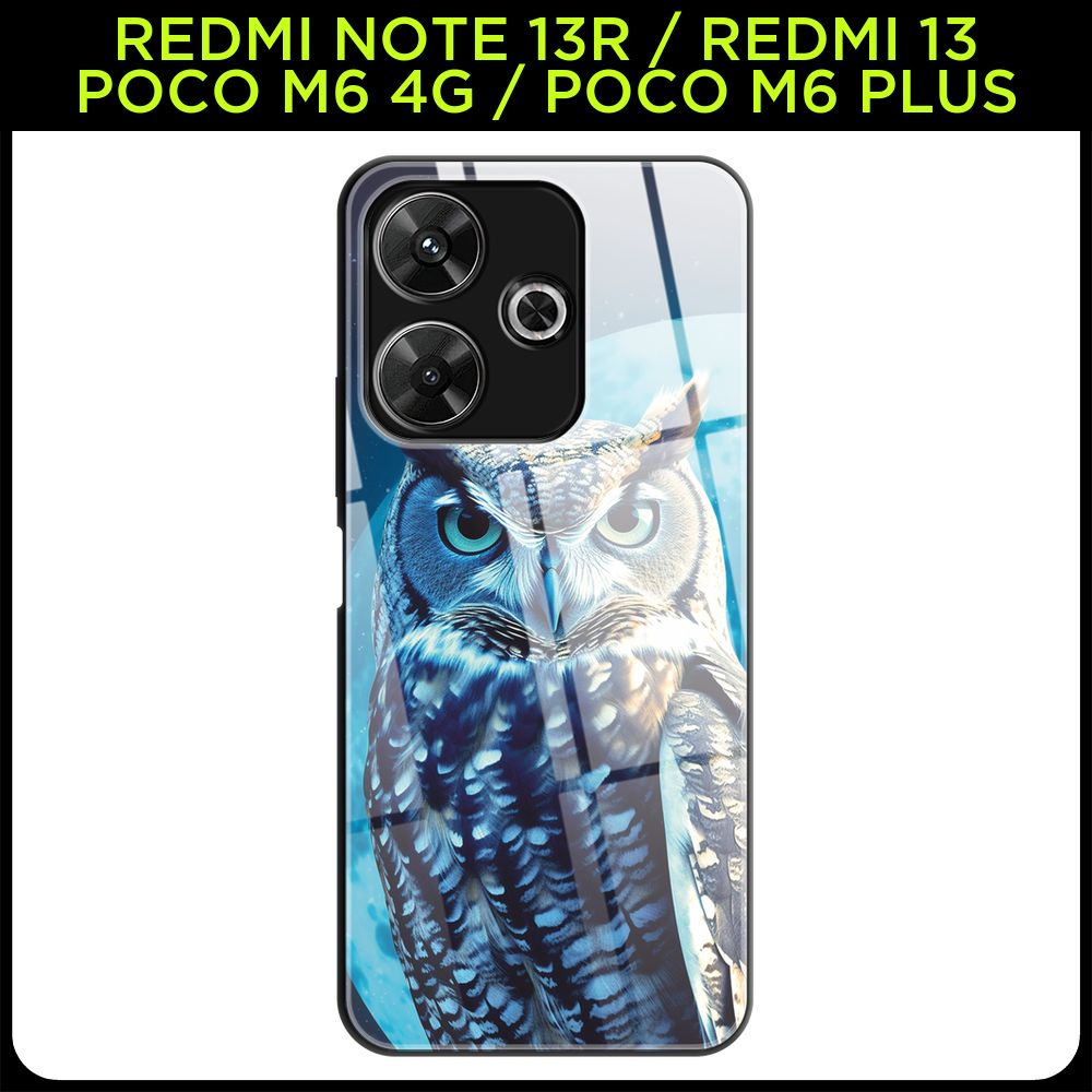 Стеклянный чехол на Redmi Note 13R/Redmi 13/Poco M6 4G/Poco M6 Plus / Редми Нот 13R с принтом "Филин #1