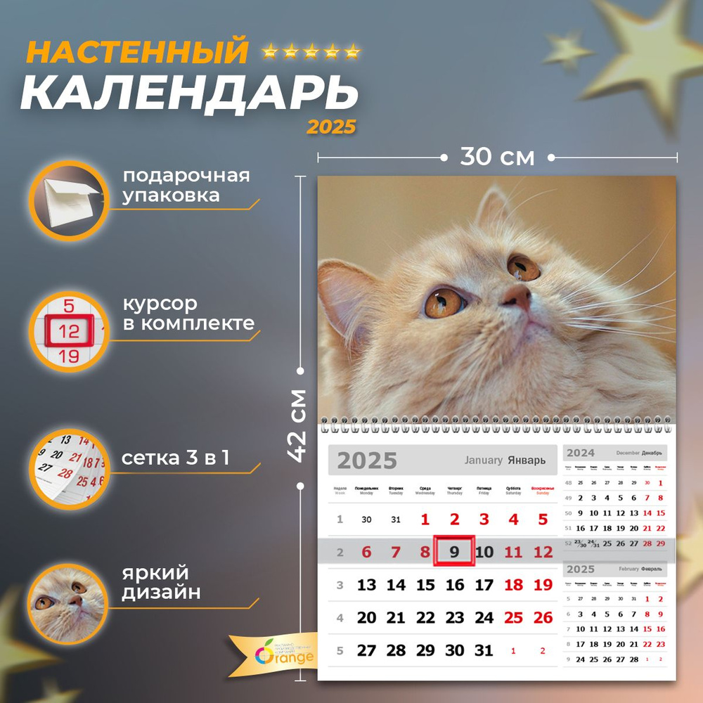 Календарь 2025 настенный квартальный #1