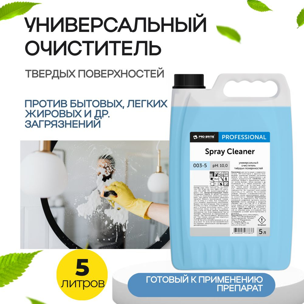 Препарат для уборки твердых влагостойких поверхностей, оргтехники SPRAY CLEANER, 5л  #1