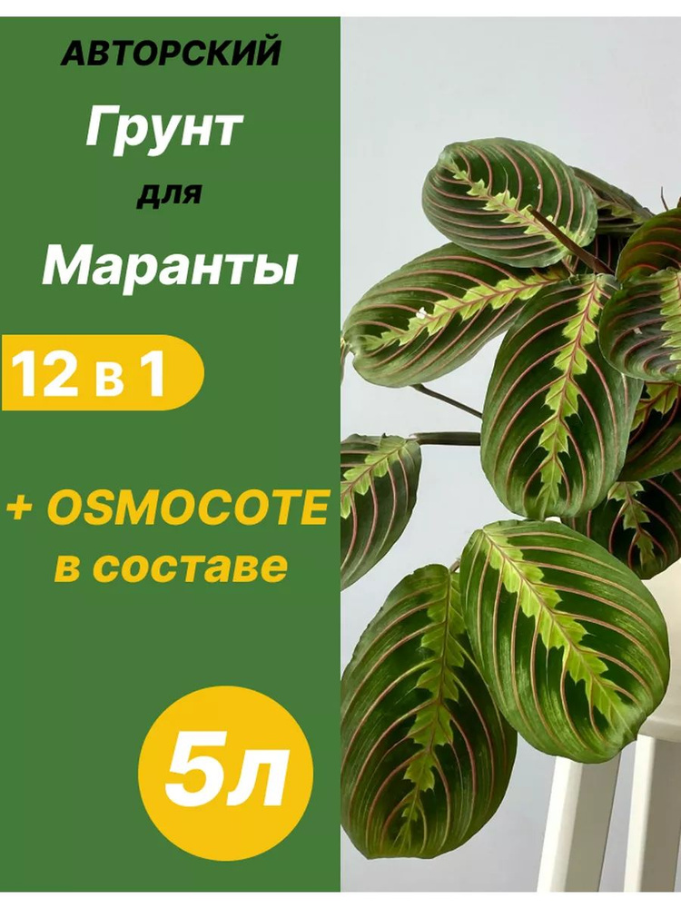 Грунт для Маранты 5л готовый #1