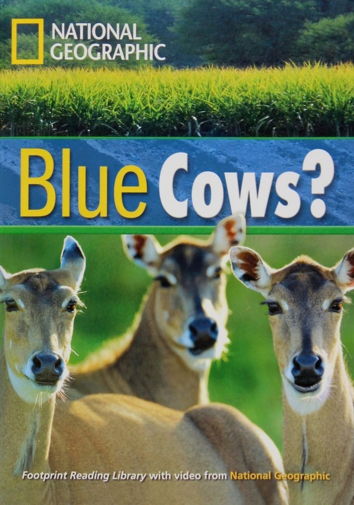 Blue Cows? #1