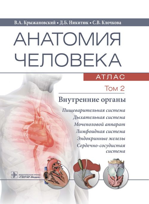 Анатомия человека. Атлас в 3-х томах. Том 2. Строение внутренних органов: пищеварительной, дыхательной, #1