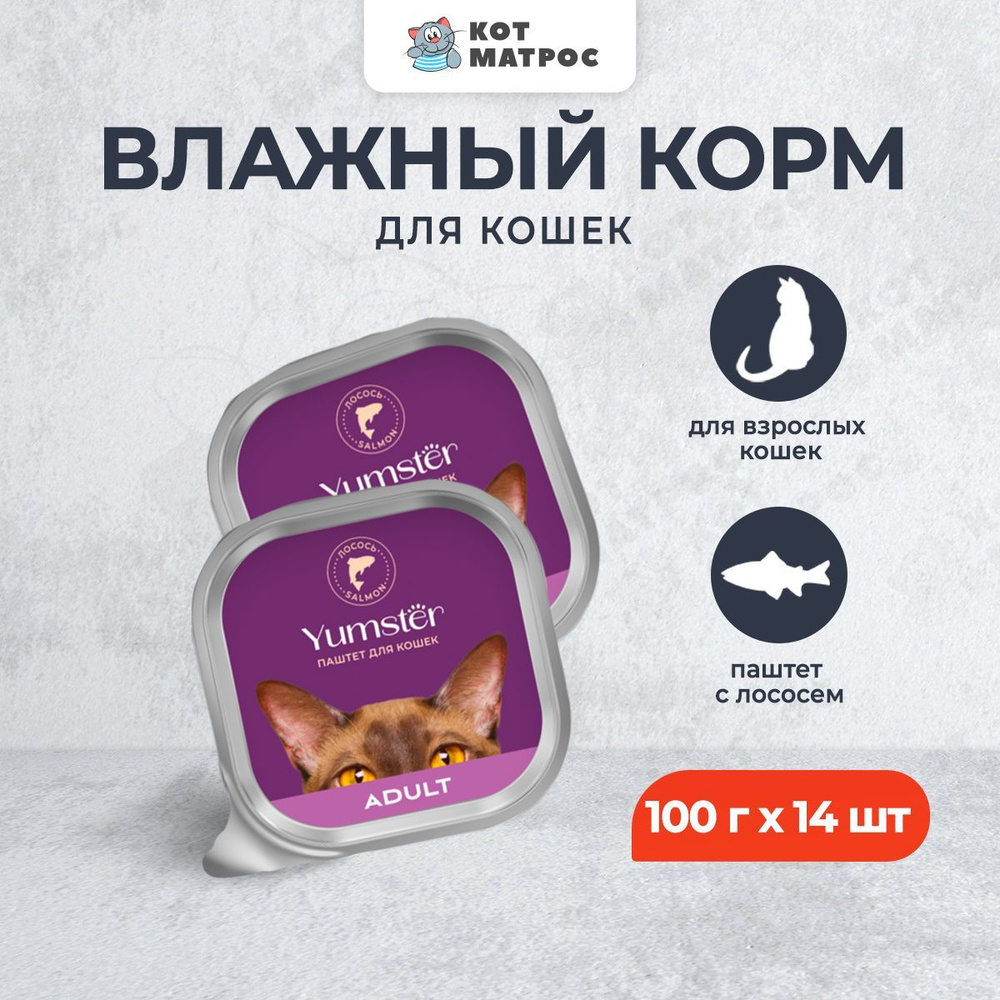 Yumster влажный корм для взрослых кошек паштет с лососем, в ламистерах - 100 г х 14 шт  #1