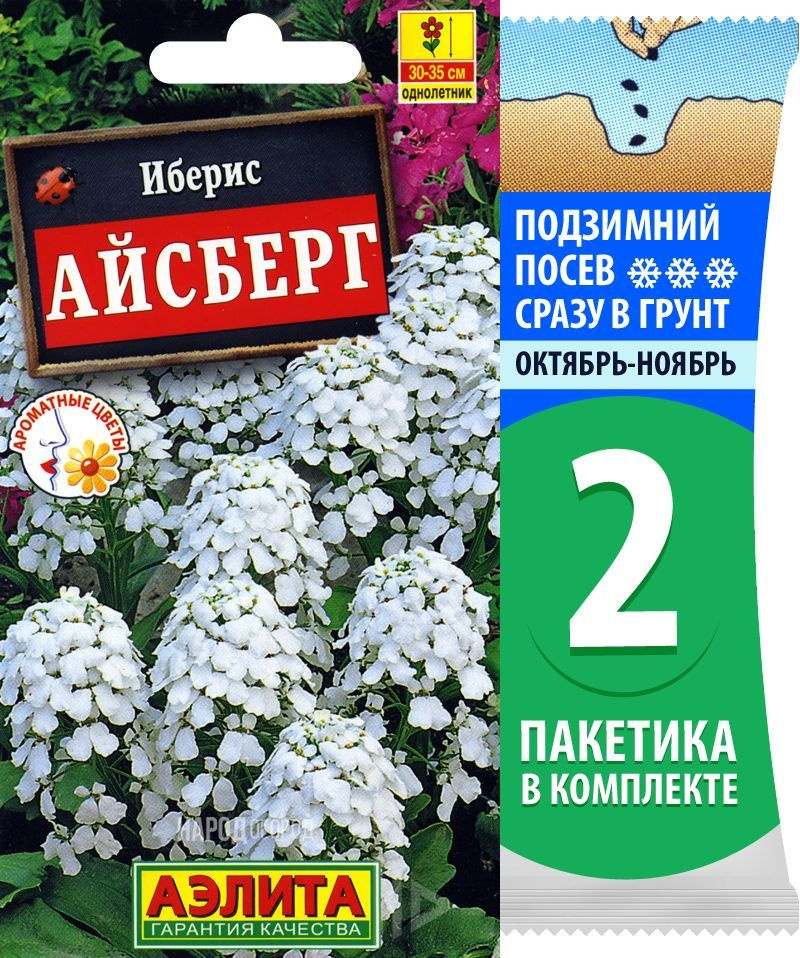 Семена Иберис Айсберг, однолетние цветы для сада, 2 пакетика по 0,2г/75шт  #1