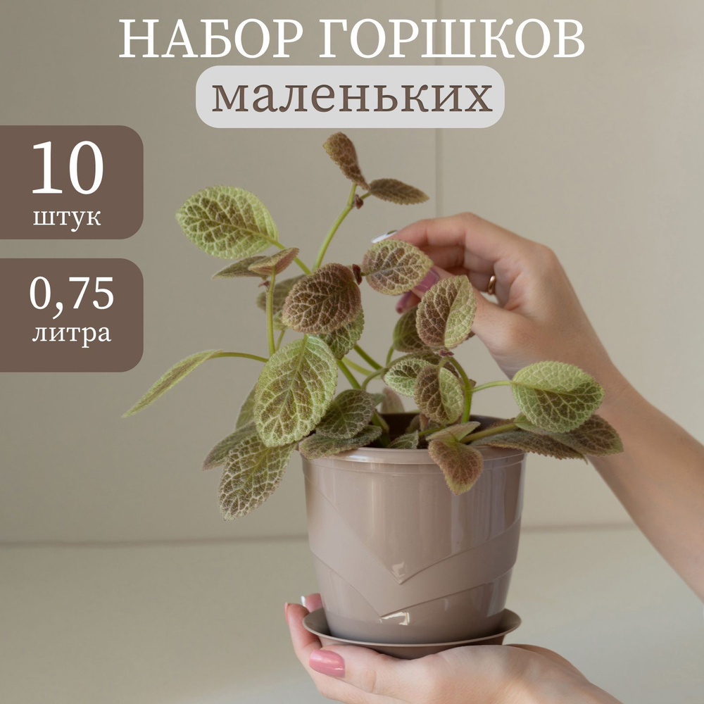 Горшки для фиалок, 10 штук по 0,75л, светло-коричневые #1