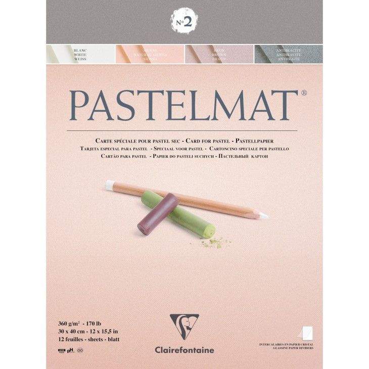 Альбом для пастели Clairefontaine PASTELMAT 360 гр/м2 / 4 цвета, 30*40см, 12 листов 96008С  #1